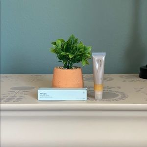 Aveda nourishing mint lip shine